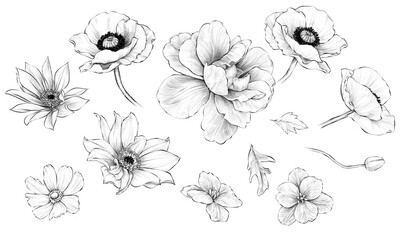 Set Of Hand Drawn Flowers