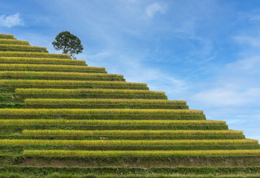 stairway to the sky