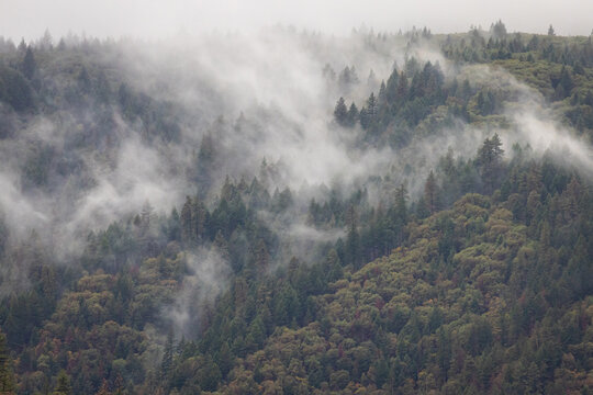 Mist over the Mountain