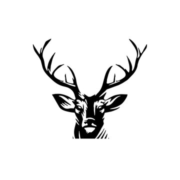 Deer head creative design logo vector. Deer illustration © blessed.grapix