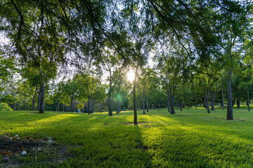 sunset in a park sunset, people picnicking around, trees filtering the sun's rays, guadalajara