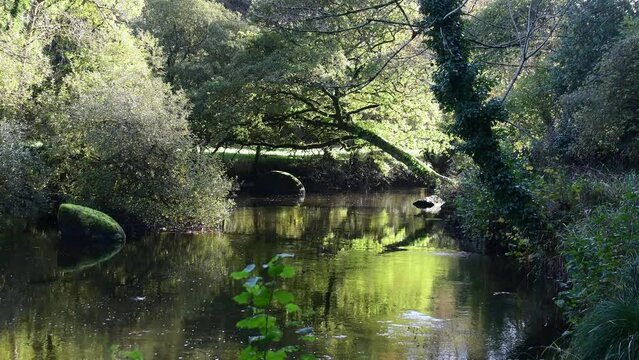 La rivi&egrave;re du L&eacute;guer &agrave; Tonqu&eacute;dec en Bretagne - 4K