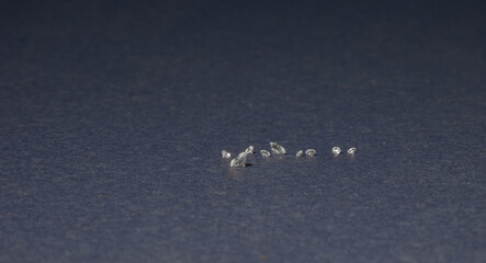 macro photo of group of precious stones of different sizes