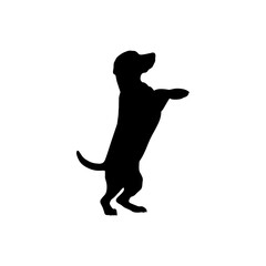 Vector silhouette of a dog on a white background