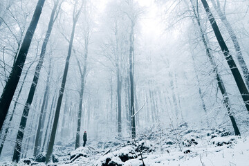 A person stands in the foggy forest in winter