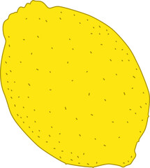 Yellow lemon fruit. Illustration. Isolated design element.