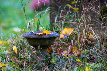 old haunted grave yard, decaying