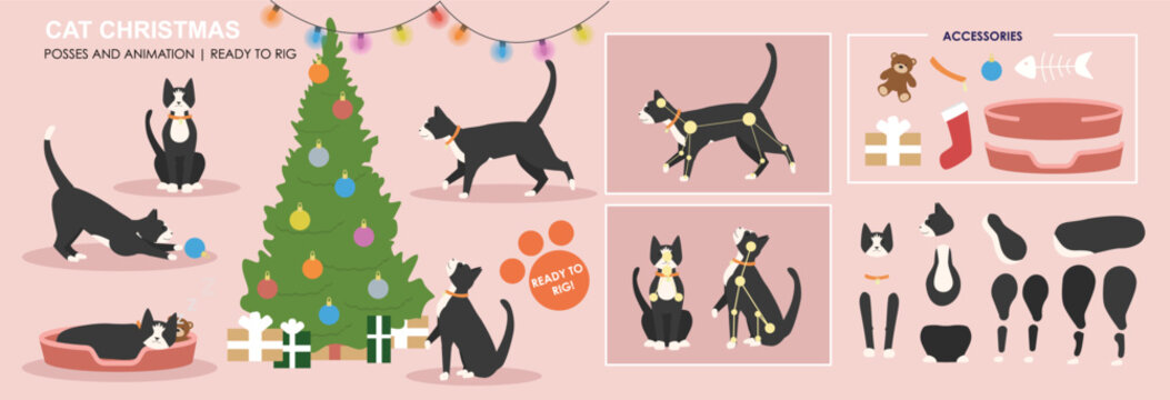 Cute Black and White cat, Christmas scene vector character with multiple poses ready to animate and rig. Xmas vectors, Christmas character. Cat, kitten holidays.