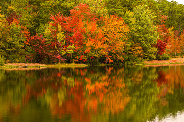 autumn trees reflected in water