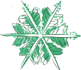 Snowflake 12