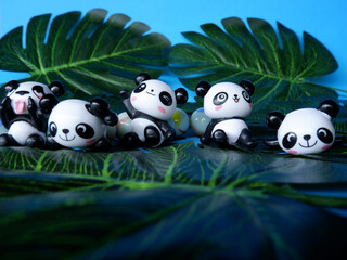 The cuteness of the little pandas