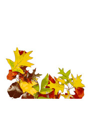 Leaves Mixed Media