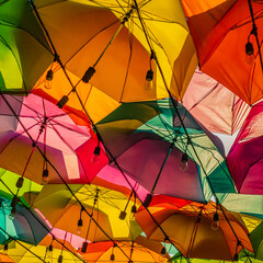 Colourfully Umbrellas being used a Canopy