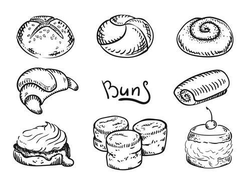 PNG transparent pastry sketches set of scones and buns