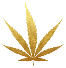 PNG transparent golden cannabis leaf indica