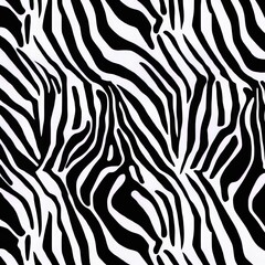 Black and white zebra stripes background. Zebra background.2d illustrated illustration.