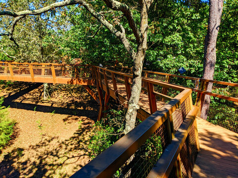 Serralves treetop walkway Porto Portugal