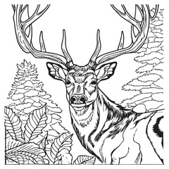 Deer outline animal for coloring book. Vector illustration of mammal in nature. Beautiful black and white. Wild isolated coloring book landscape. Sketch for coloring for children or kids. Graphic art.