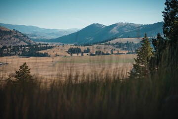 Brown fields and mountains seen behind tall grass in Montana, USA