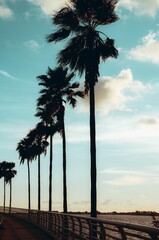 Vertical of palm trees against a blue cloudy sky.