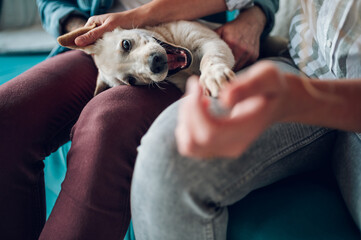 Couple petting their adopted dog while sitting on the couch at home