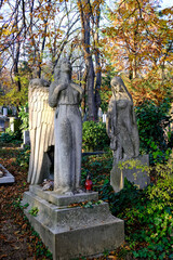 statue of an angel with wings in the cemetery 