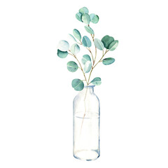 Eucalyptus branch in vase, bottle, jar. Silver dollar. Watercolor hand drawn botanical illustration isolated on white background. Eco minimalistic style for greeting card, poster.