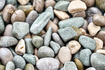 Multicolored pebbles on the sea beach as a background extreme close view