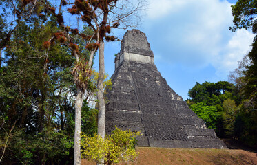  The archaeological site of the pre-Columbian Maya civilization in Tikal National Park , Guatemala...