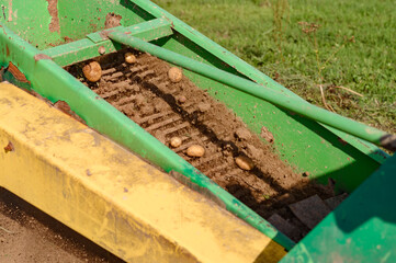 A mechanized method of harvesting potatoes in the village.