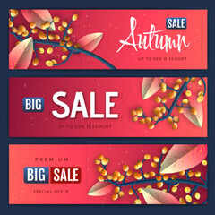 Set of autumn big sale typography banners with autumn leaves. Nature concept. Vector illustration