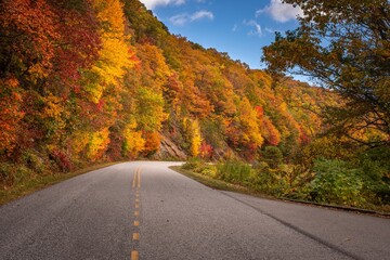 Colors of Autumn along winding road
