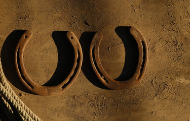 Metal horseshoes closeup on wood background for western equine industry.