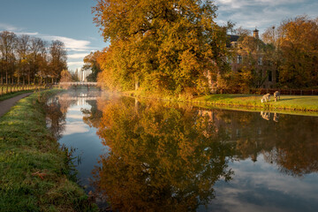 Background with autumn trees and water. Rhijnauwen located in Bunnik in the Dutch province of...