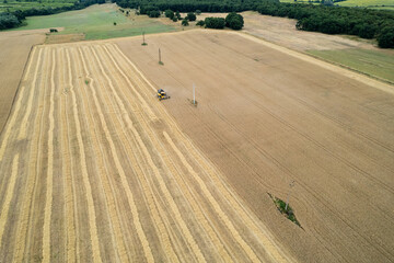 Harvester machine working in field . Combine harvester agriculture machine harvesting golden ripe...