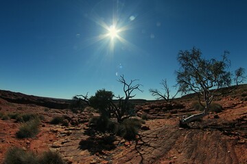 australian outback, kings canyon uluru, wallpaper australian nature