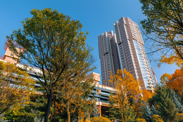 Obraz premium Beautiful view of trees with various colous and buildings on the background in Dikmen Valley | Dikmen Vadisi natural park in autumn in Ankara. Colors of autumn in city life.