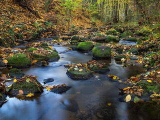 rzeka w kolorach jesieni - obrazy, fototapety, plakaty