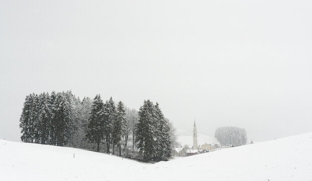 Camporovere, altopiano di asiago under teh snow