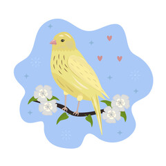 Canary on the branch with flowers