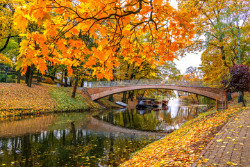 Golden colors of autumn in European public nature park