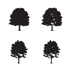 Tree silhouette vector. Isolated forest trees silhouettes in black on white background. Vector set of silhouettes of trees