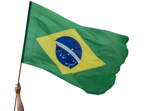 Person holding a Brazilian flag, in a cropped photograph, green yellow, blue and white, and written ORDER E PROGRESSO in Portuguese and cut out.