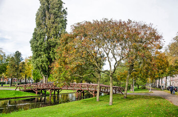 Fototapeta na wymiar Rotterdam, The Netherlands, October 21, 2022: trees in autumn colors and a wooden pedestrian bridge across Heemraadssingel canal in autumn