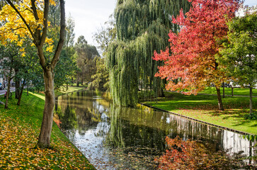 Rotterdam, The Netherlands, October 21, 2022: colorful trees in autumn reflecting in...