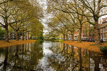 Rotterdam, The Netherlands, November 5, 2022: old plane trees reflecting in the water of Crooswijksesingel canal