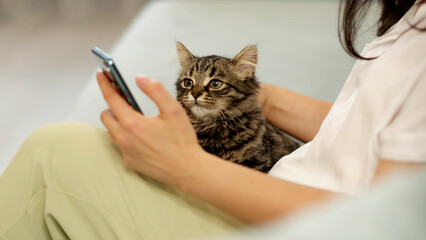 unrecognizable woman holding a tabby kitten and using a smart phone lying on a couch at home. close up video. relax at home after work