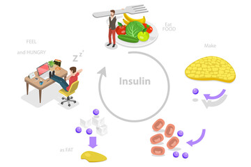 3D Isometric Flat  Conceptual Illustration of Insulin Resistance Syndrome - obrazy, fototapety, plakaty