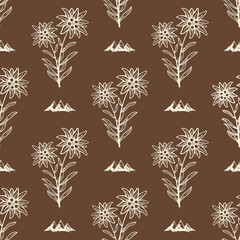 Edelweiss flower mountains seamless pattern background texture	 - 546381502