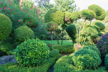 beautifully trimmed trees and shrubs in the park